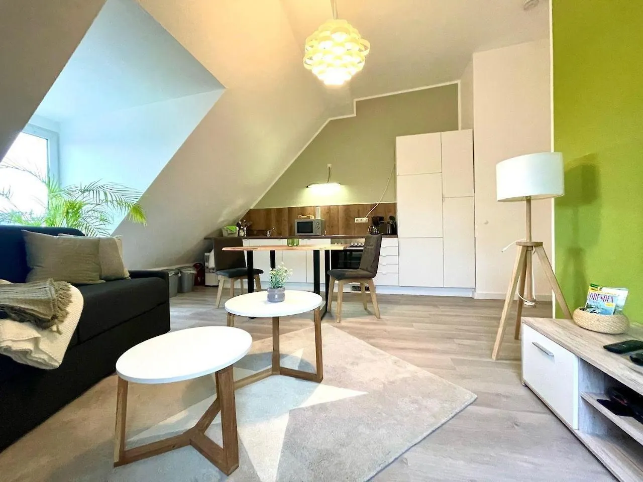 Apartment-Zschachwitz-Kleine-Wohlfuehlferienwohnung ドレスデン